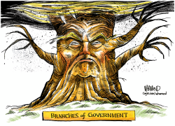 click or tap to zoom Tree Trump branches of government