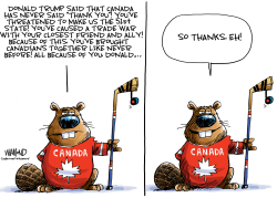 click or tap to zoom A Canadian Thank You