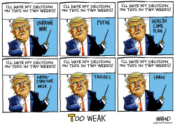 click or tap to zoom Trump's Two Weeks Signature