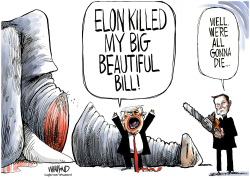 Musk kills the Big Beautiful Bill