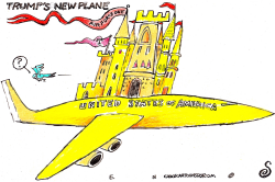 click or tap to zoom TRUMP'S NEW PLANE