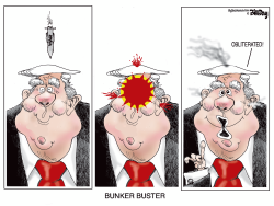 click or tap to zoom Bunker Buster