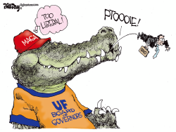 click or tap to zoom FLORIDA MAGA Gator