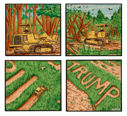 click or tap to zoom Trump Opens National Forests To Loggers