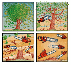 click or tap to zoom Habitat Destruction = Pollinator Extinction