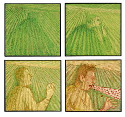 Toxic Chemicals In Soil