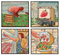 click or tap to zoom America's Habit of Wasting Food