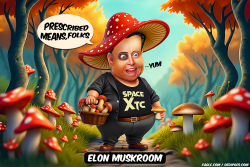 click or tap to zoom Musk picks mushrooms