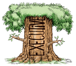 click or tap to zoom The Three Branches of Government
