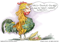 click or tap to zoom Trump taco rooster
