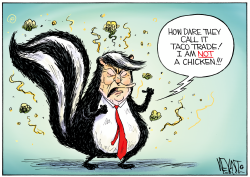 click or tap to zoom Trump's A Skunk