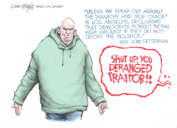 Sen. Fetterman Common Sense