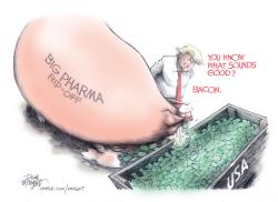 click or tap to zoom Big Pharma Rip-Off