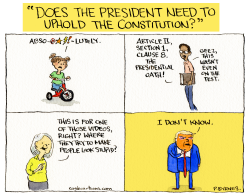 click or tap to zoom President Needs to Uphold the Constitution?