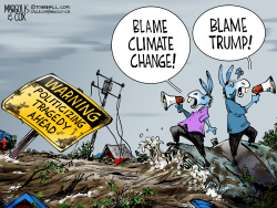 click or tap to zoom Democrats Politicizing Texas Flash Floods