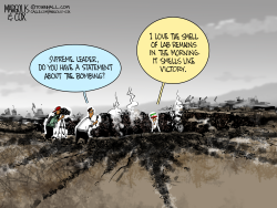 click or tap to zoom Iran Gaslighting on Bomb Strikes