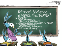 click or tap to zoom Democrats Hypocrites on Political Violence
