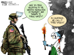Left-Wing Riots in California