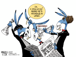 The Democrats Stooges