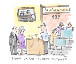 click or tap to zoom Trump Or Anti-Trump