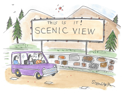 Scenic View