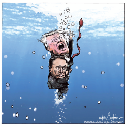 Let Trump and Elon sink in