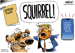 click or tap to zoom Trump distractions from Epstein Files