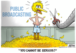 click or tap to zoom Big Bird Protests Federal Funding Cut