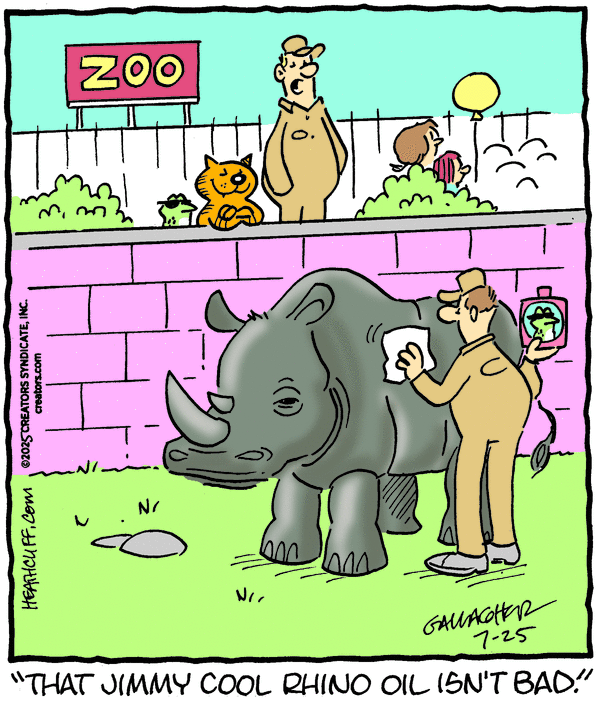 Heathcliff for 7/25/2025