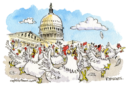 click or tap to zoom Congress Chickens Out, Too