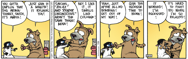 Get Fuzzy for 7/29/2025