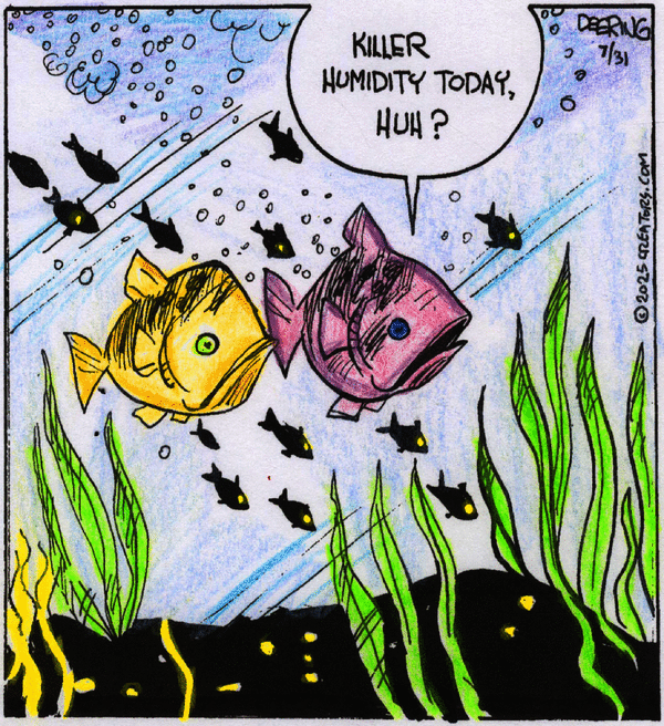 Strange Brew for 7/31/2025