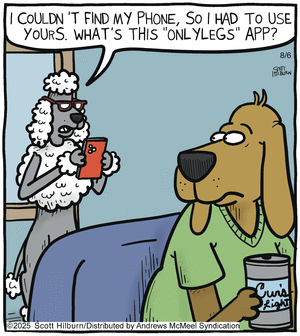 click or tap to zoom The Argyle Sweater for 8/6/2025