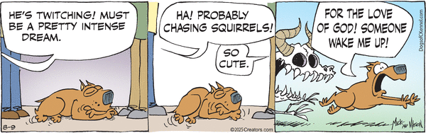 Dogs of C-Kennel for 8/9/2025