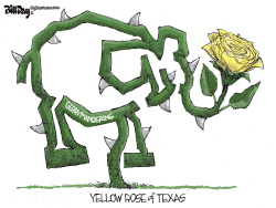 click or tap to zoom Texas Gerrymandering