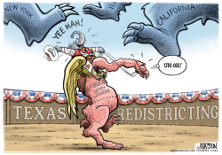 click or tap to zoom Texas Redistricting Rodeo