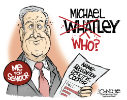 click or tap to zoom NC Whatley's senatorial name-recognition problem