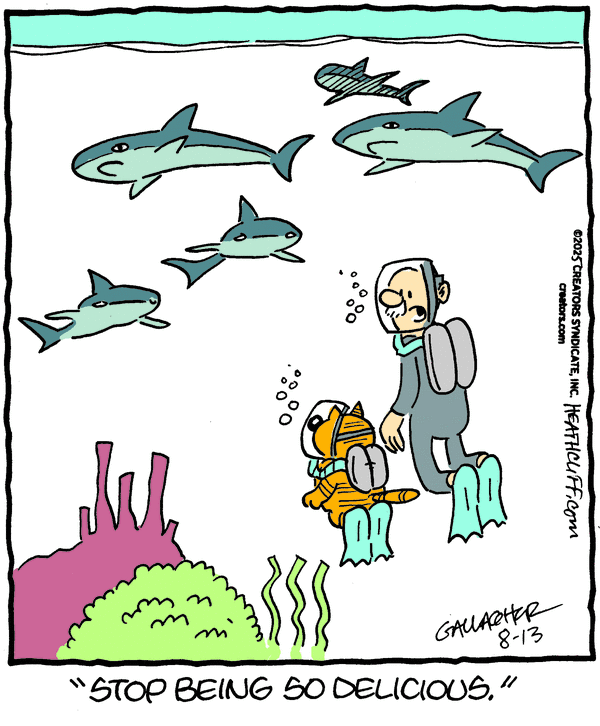 click or tap to zoom Heathcliff for 8/13/2025