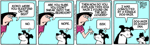 The Other Coast for 8/16/2025