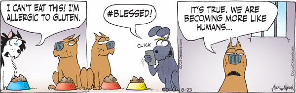 click or tap to zoom Dogs of C-Kennel for 8/23/2025