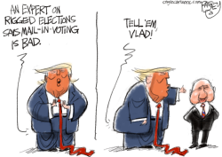Vote by Mail