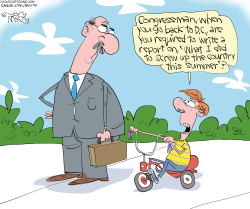 Congress's Summer Report