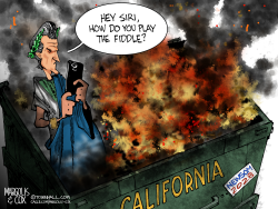 Newsom's California Dumpster Fire
