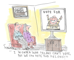 Vote for Felons