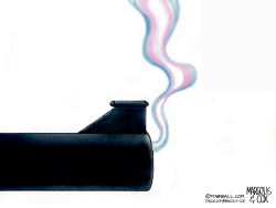 click or tap to zoom Another Trans Mass Shooter