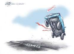 click or tap to zoom Tariff Court Ruling