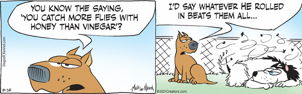 click or tap to zoom Dogs of C-Kennel for 9/16/2025