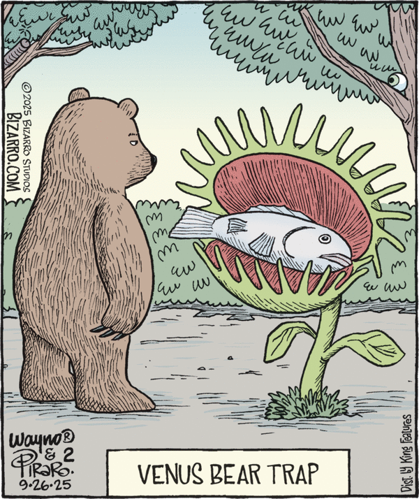 Bizarro for 9/26/2025