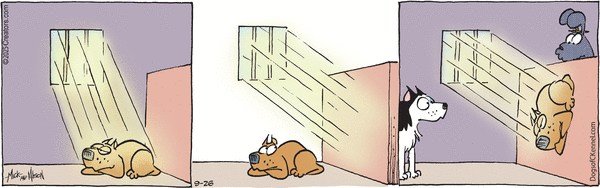 Dogs of C-Kennel for 9/26/2025