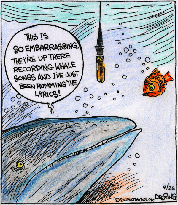 Strange Brew for 9/26/2025